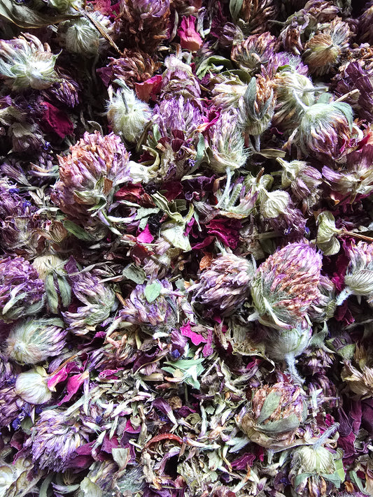 Kootenay Meadow (Red Clover & Self Heal) Loose Leaf Tea