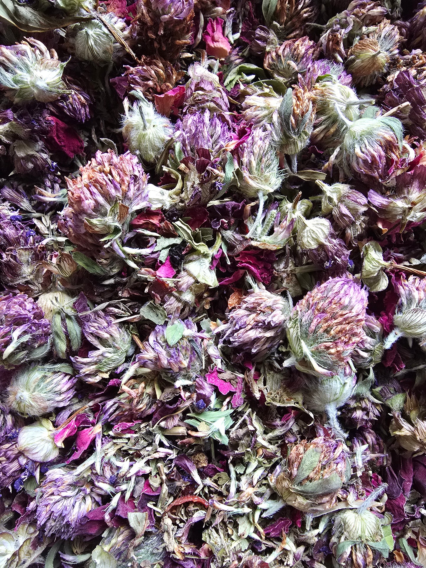 Kootenay Meadow (Red Clover & Self Heal) Loose Leaf Tea