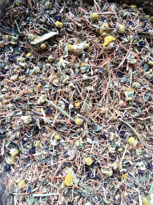 Deep Immune Defense Loose Leaf Tea